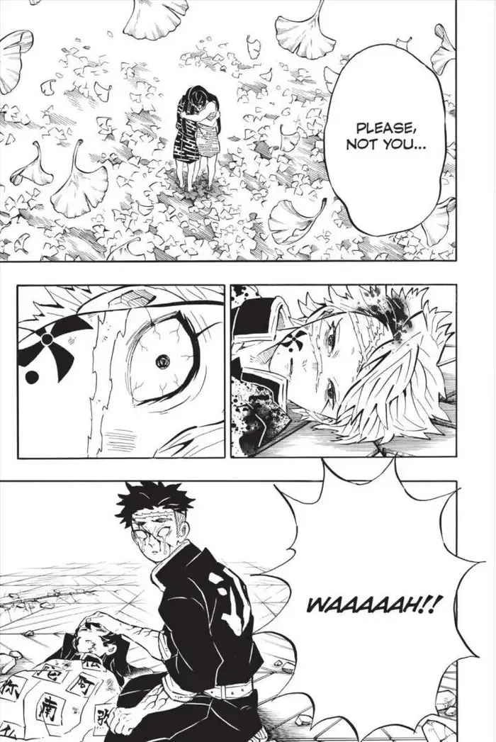Demon Slayer Chapter 179 image 20_optimized